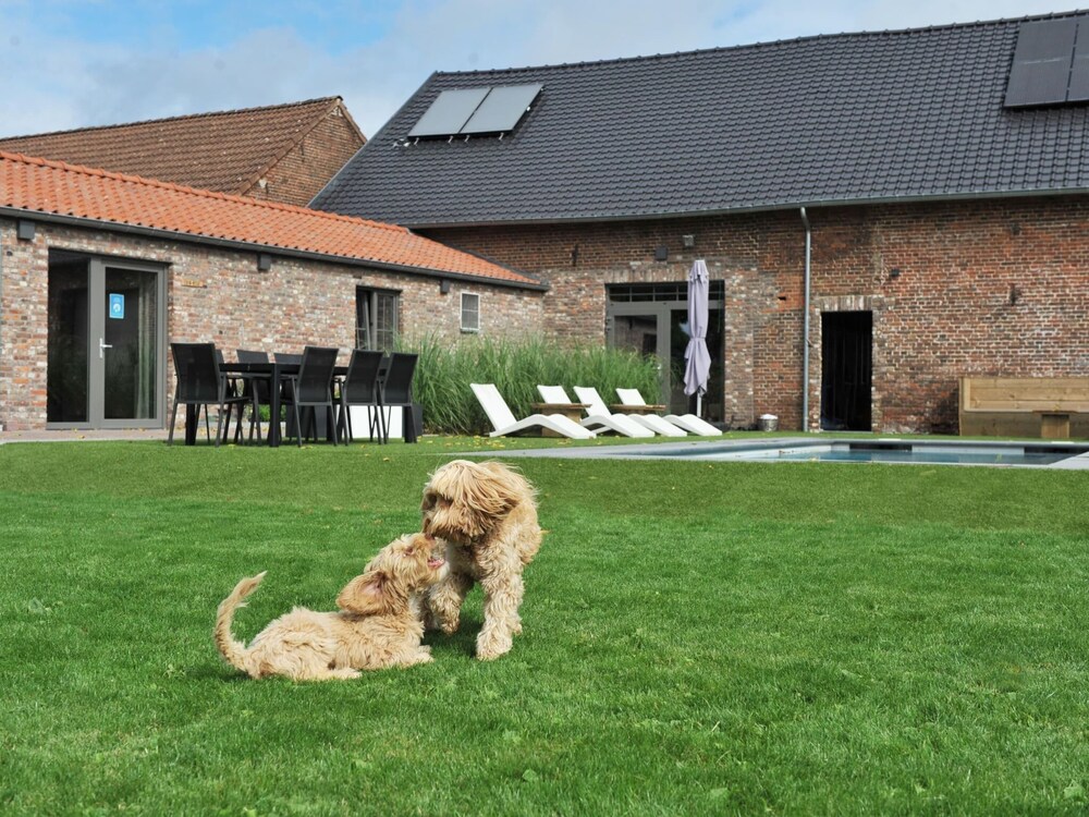 Vlaanderen Cozy Cottage