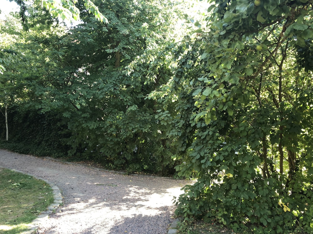 Novilla