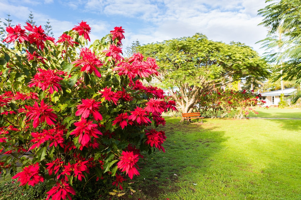 Trade Winds Country Cottages