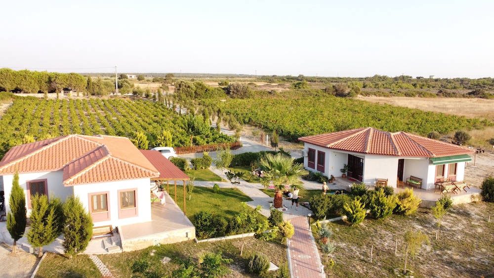 Karina Vineyard Evi - Image 22