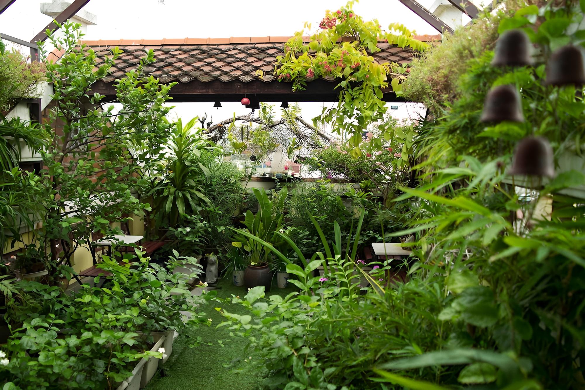 Hotel Garden Queen