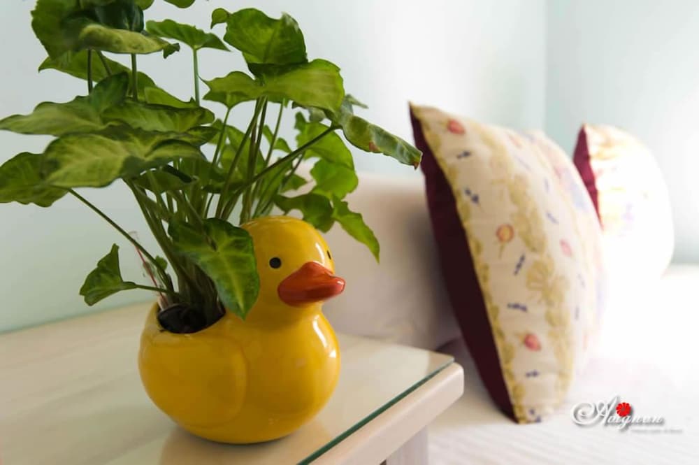 Avignon B&B