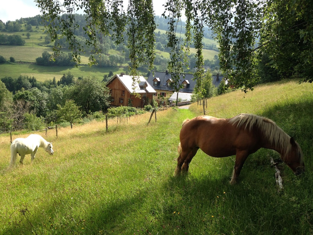 La Grange D'hannah - Gîte & Chambre D'hôtes de Charme view 5