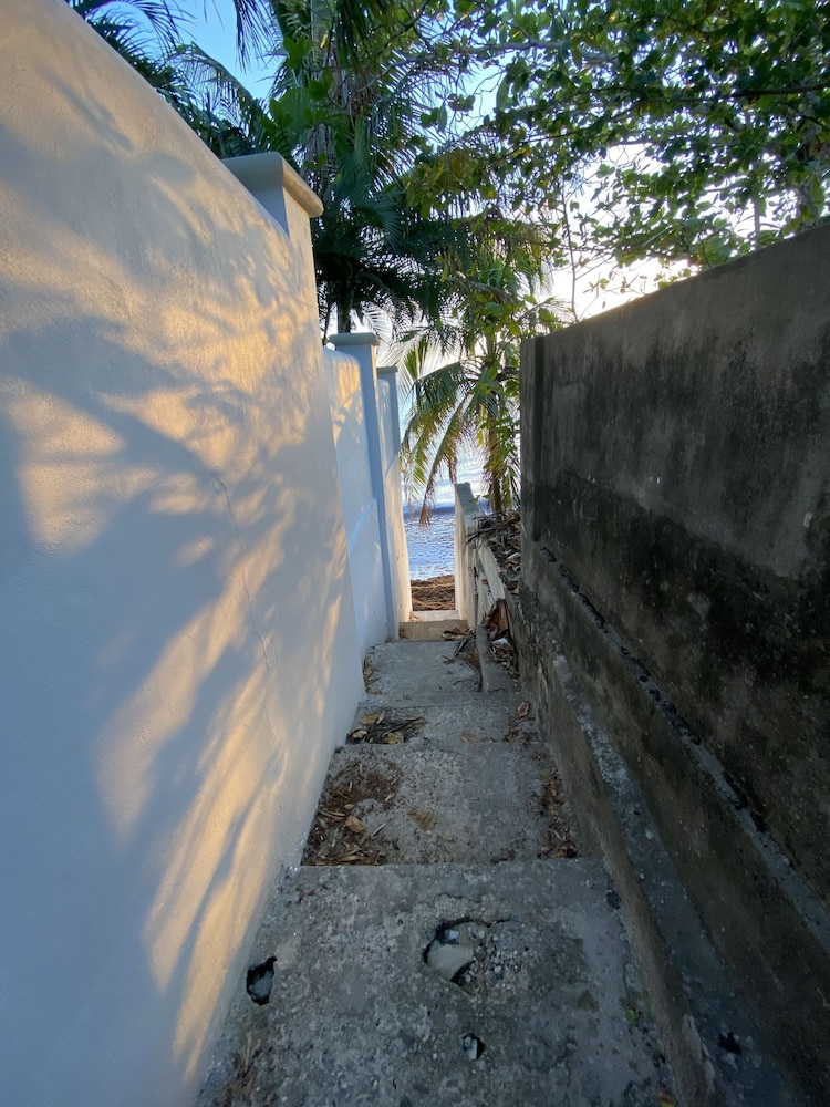 Photo 89