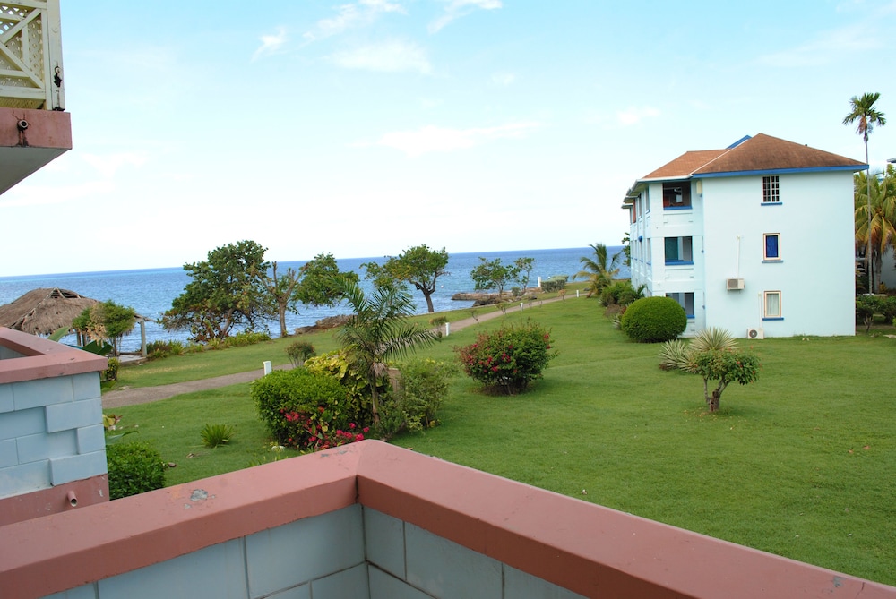 Mango Beach Studio