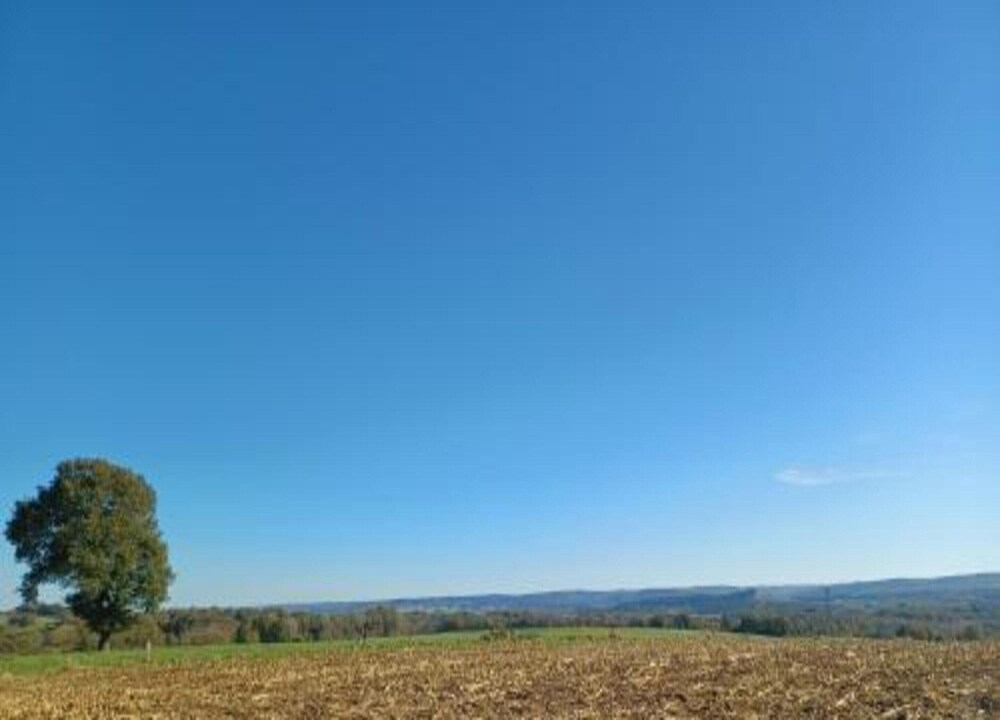 Beautiful Apartment Close to Durbuy