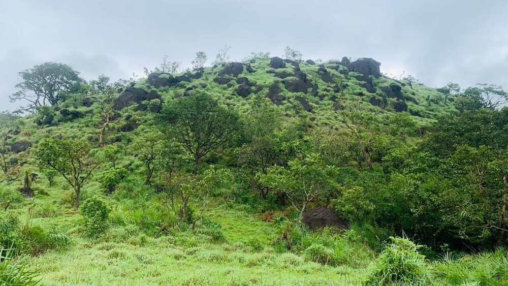 Aavarana Resort