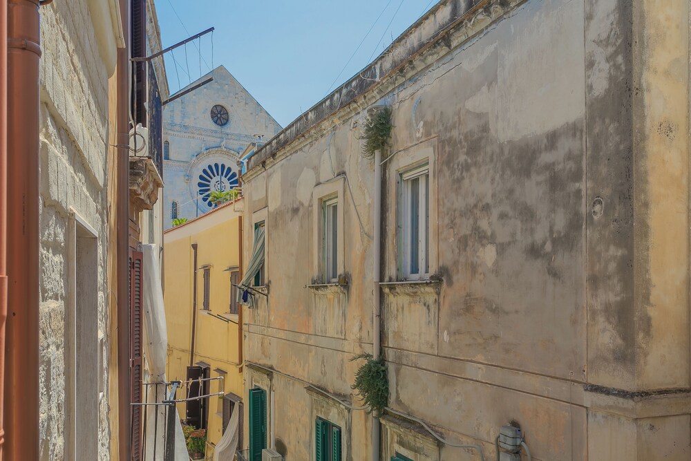 Photo 42