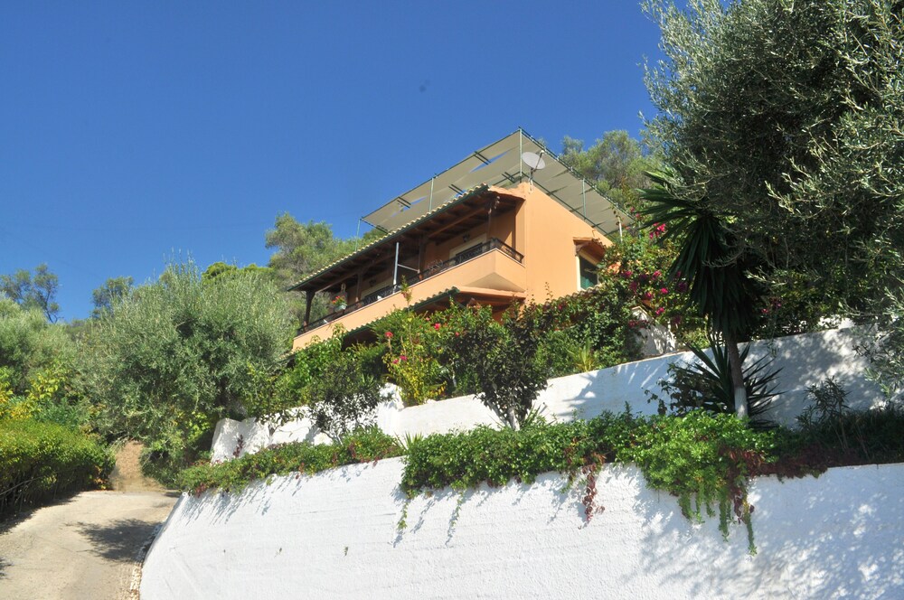 Photo 16