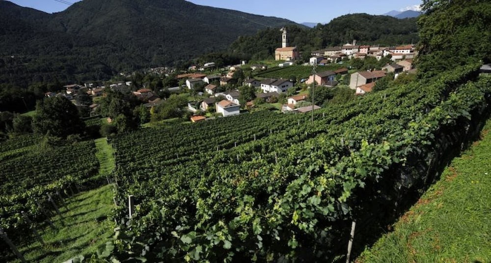 Casa Hürlimann Erholung Im Malcantone