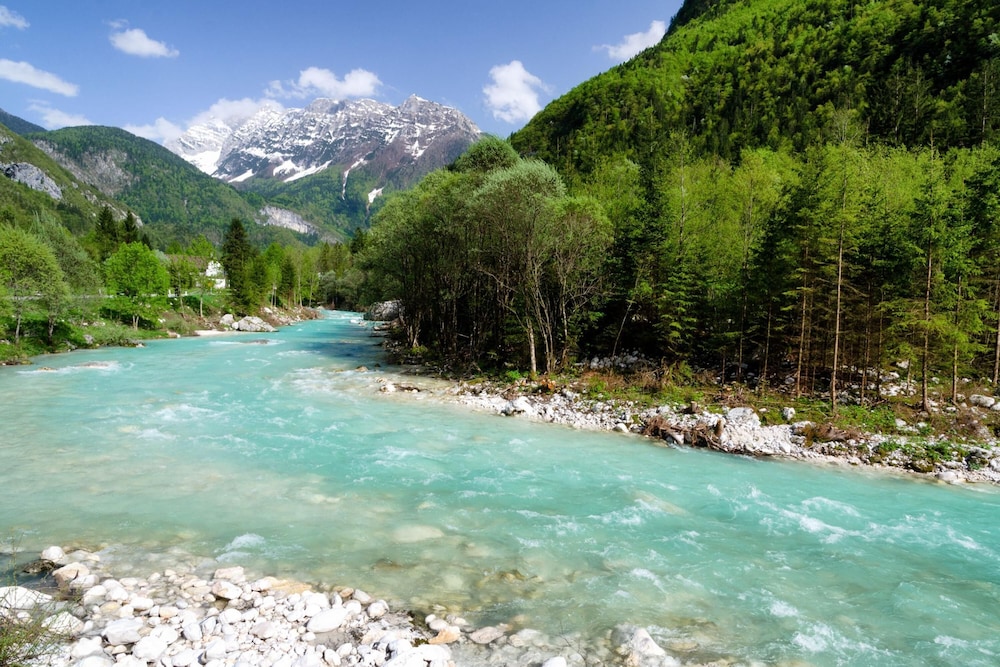 Apartment Marta Slovenia Nature