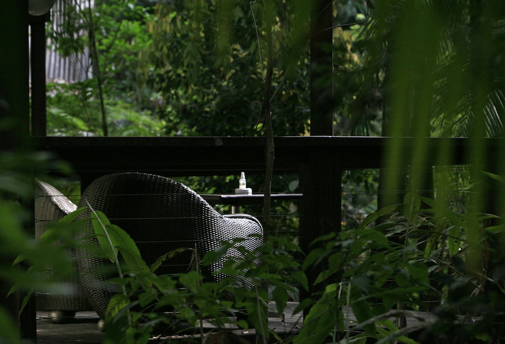 Songbirds Rainforest Retreat