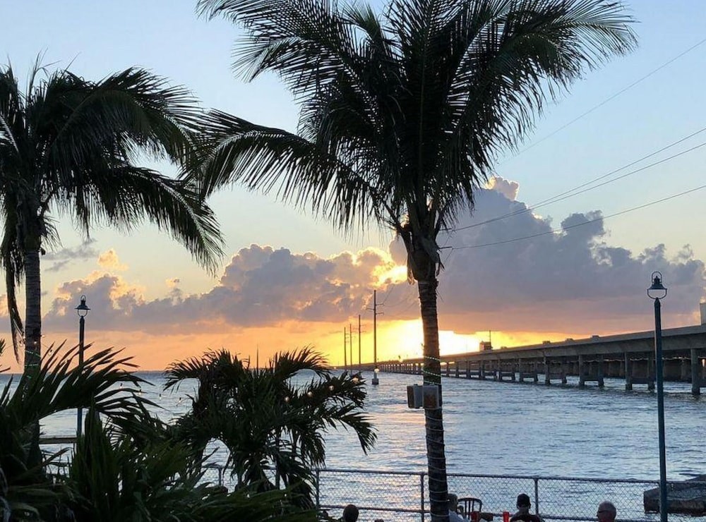 5 Beautiful 4 Bed 3 Bath Pool Home w Free Dock view 5