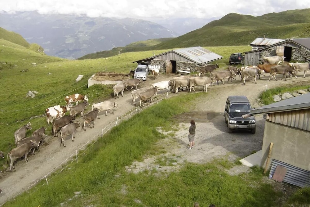 Breierhof Zell im Zillertal Tirol view 5