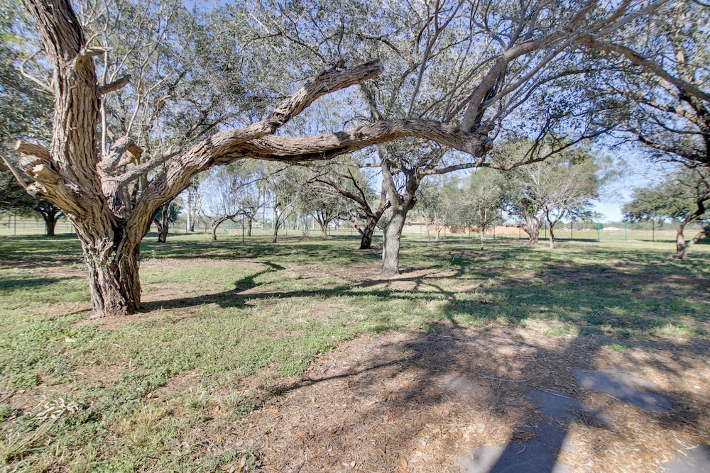 Close to State Parks & Trails: Santa Rosa Home