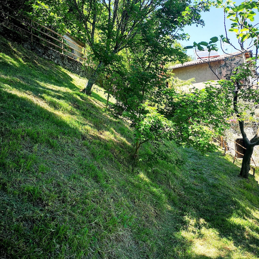 Photo 24