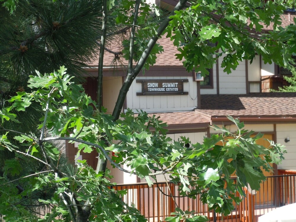 Snow Summit Townhouse Rentals & Sales