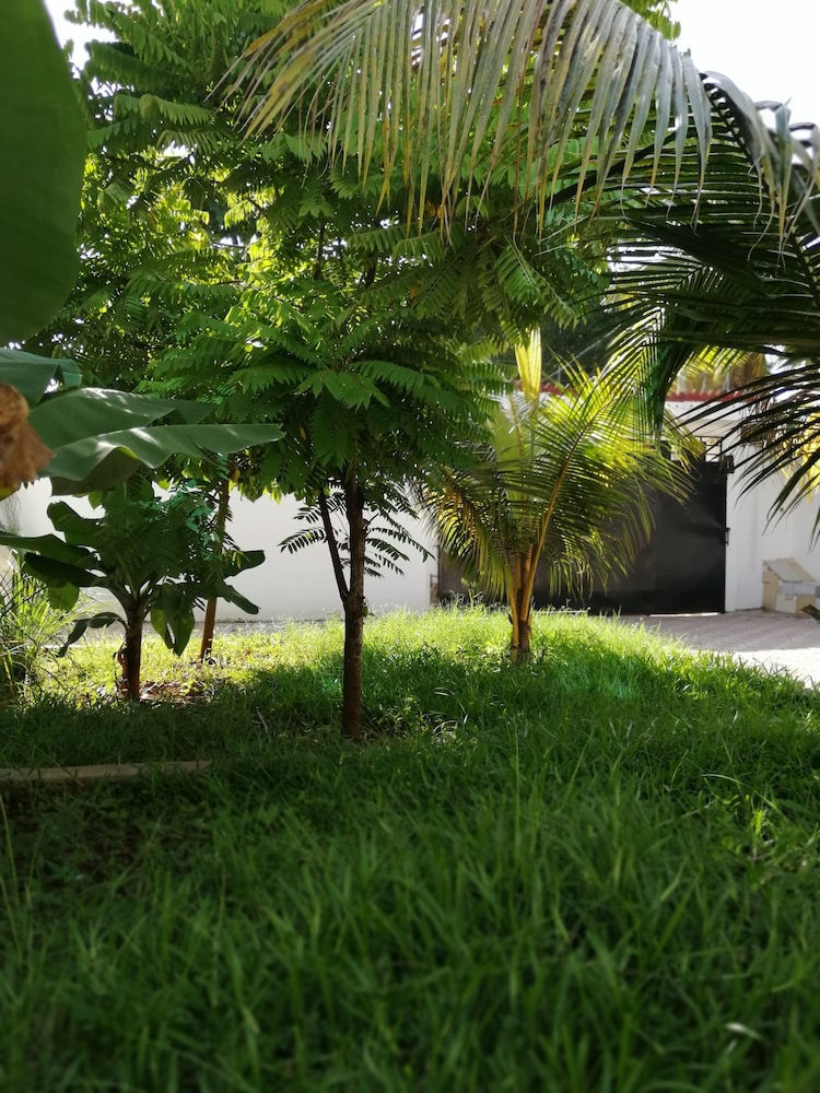 Photo 45