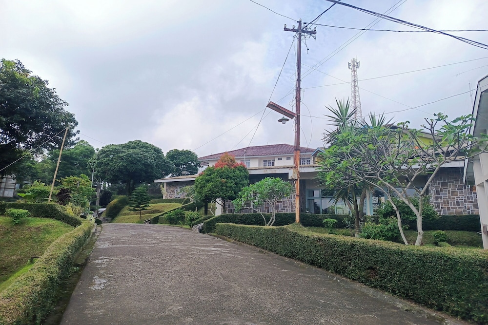 Photo 38