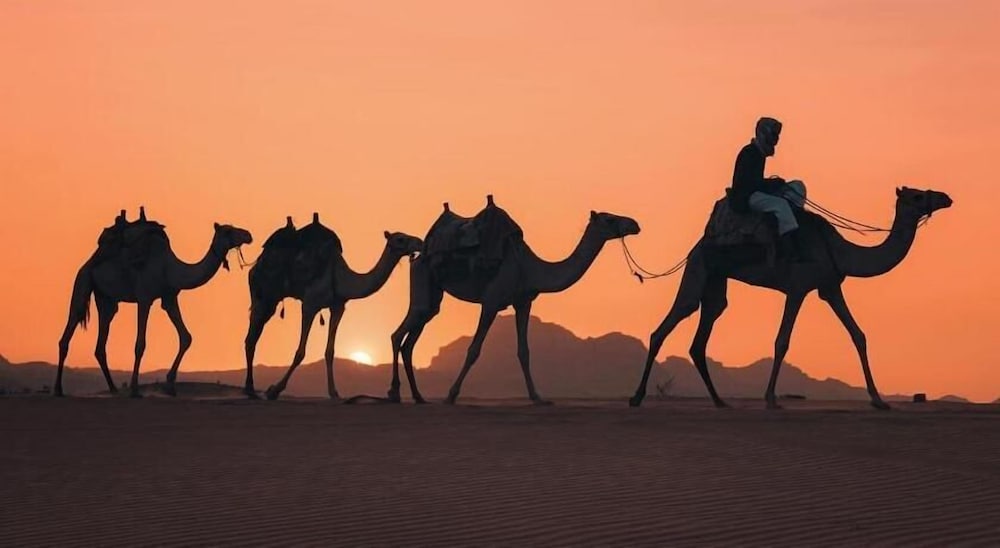 Wadi Rum Sky
