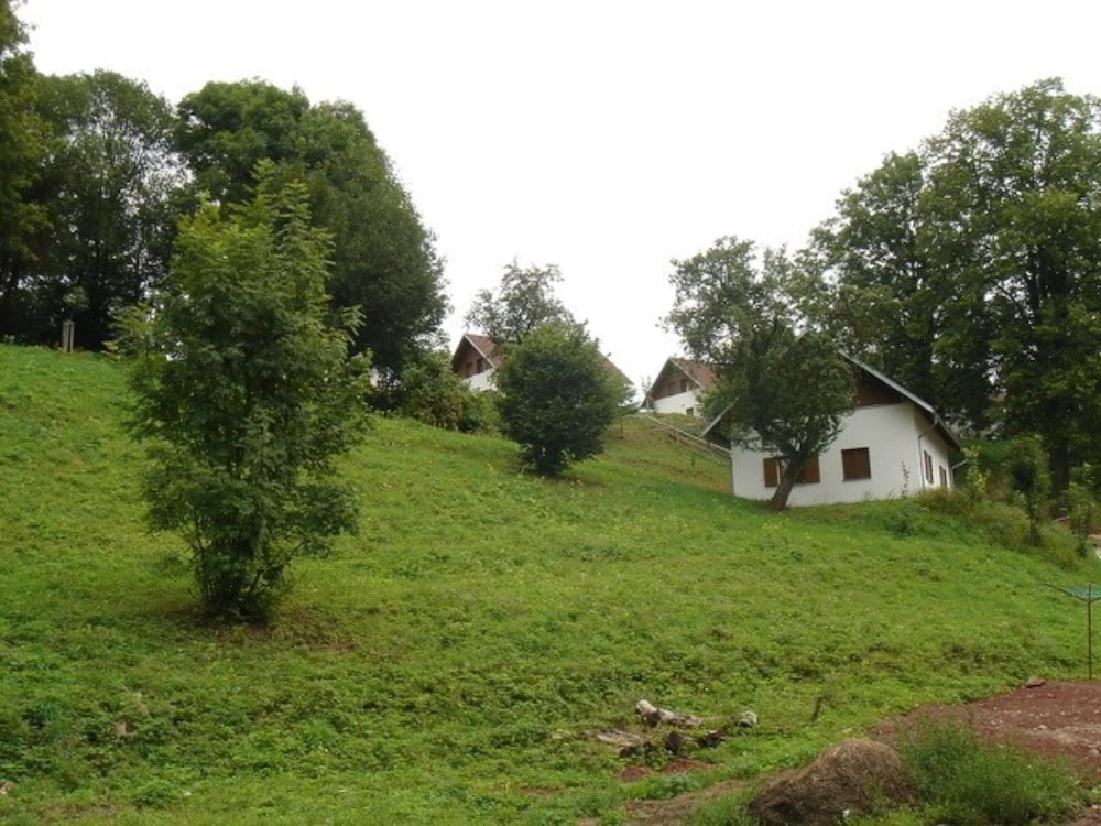 Photo 26