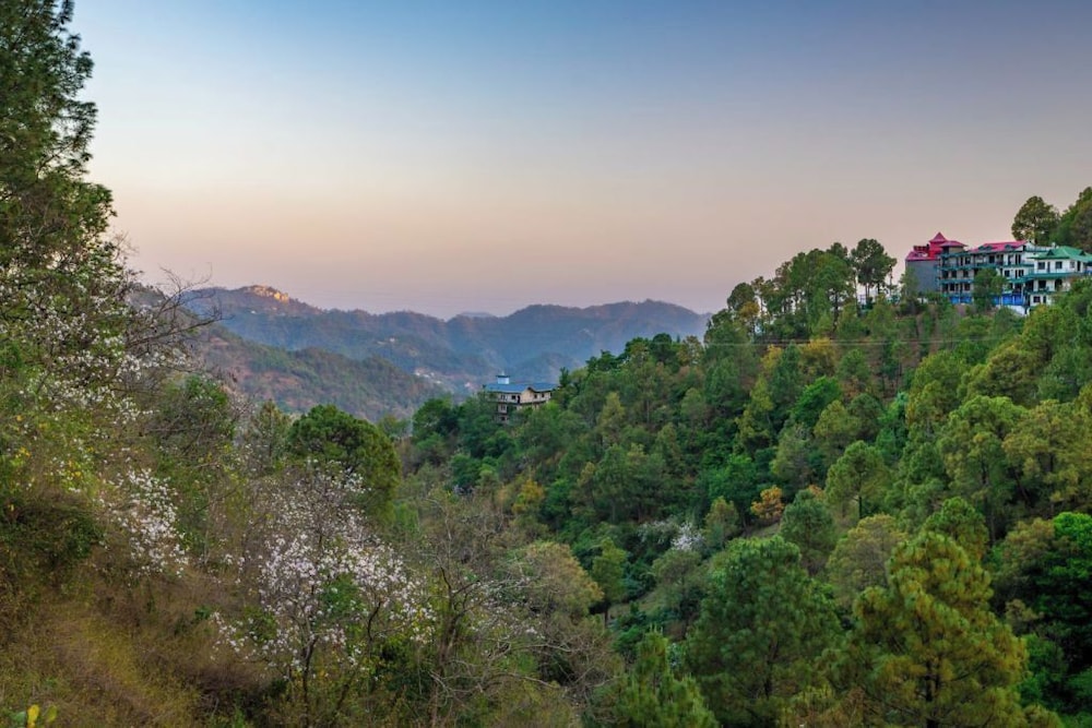 The Hosteller Kasauli