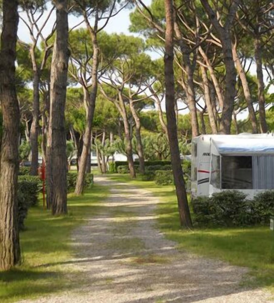 Camping Waikiki
