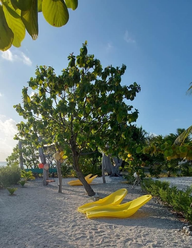 Rangiroa Tiputa Lodge B&B