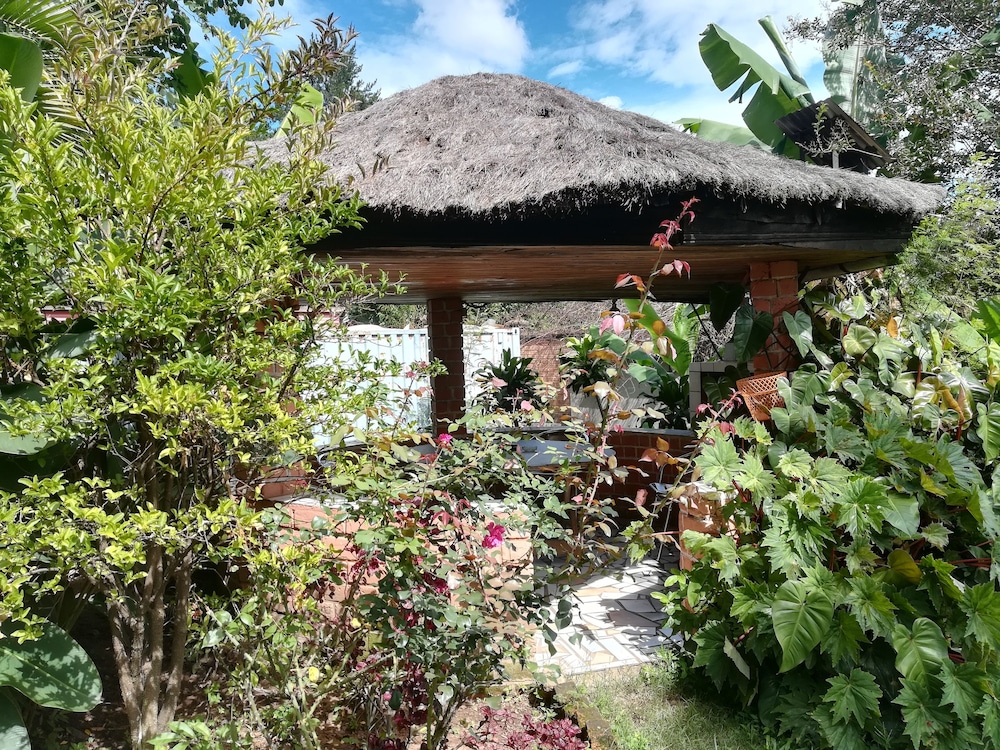 Photo 26