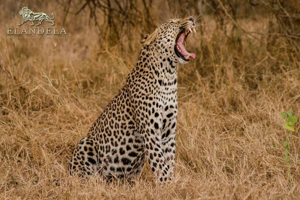 Elandela Private Game Reserve & Luxury Lodge