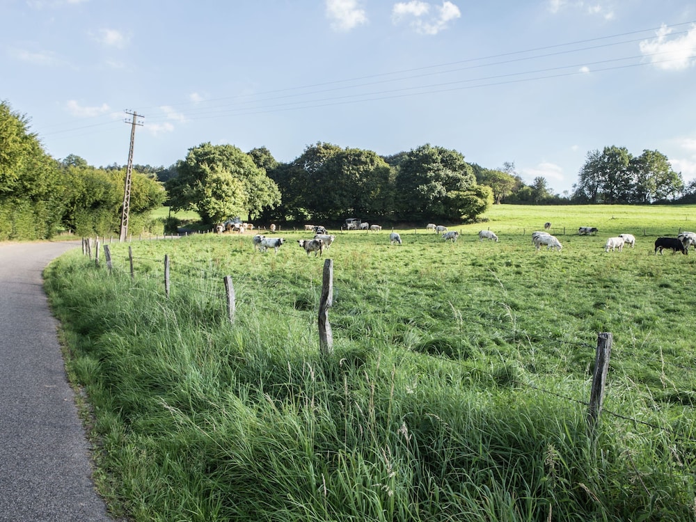 Photo 30