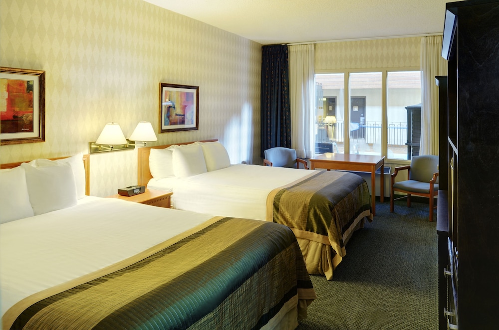 Medicine Hat Vacations - Flamingo Hotel - Property Image 5