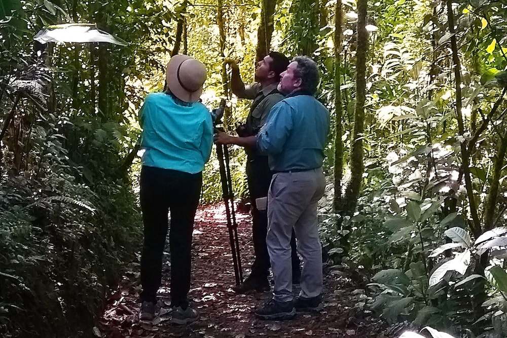 Monteverde Cloud Forest Vacations - Monteverde Lodge  Gardens by Boena - Property Image 10