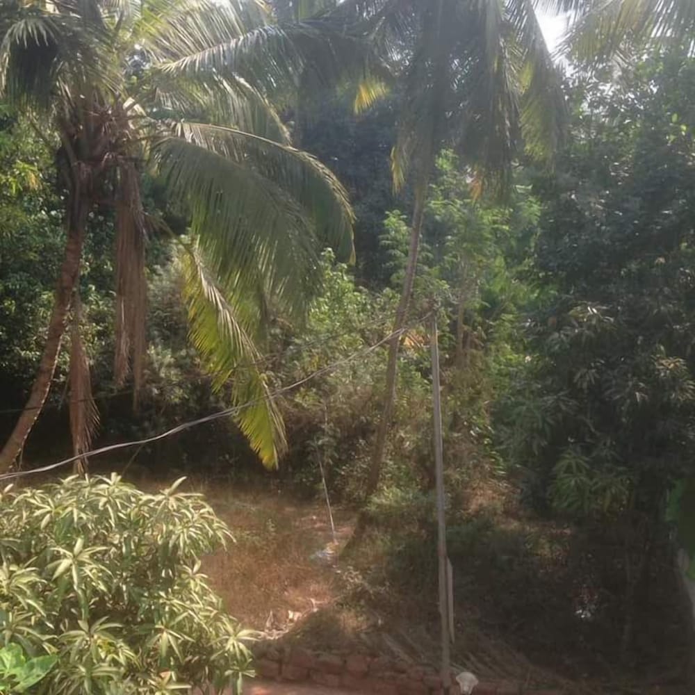 Baga Villa BnB