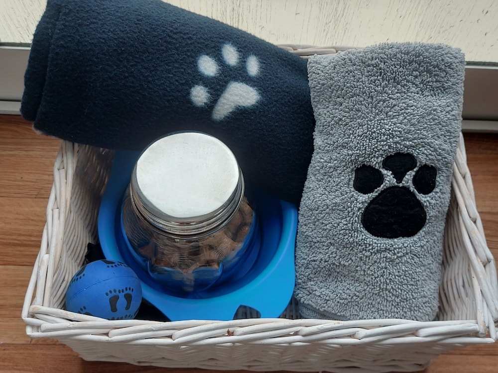 Dog Friendly Caravan on the Northumberian Coast view 5