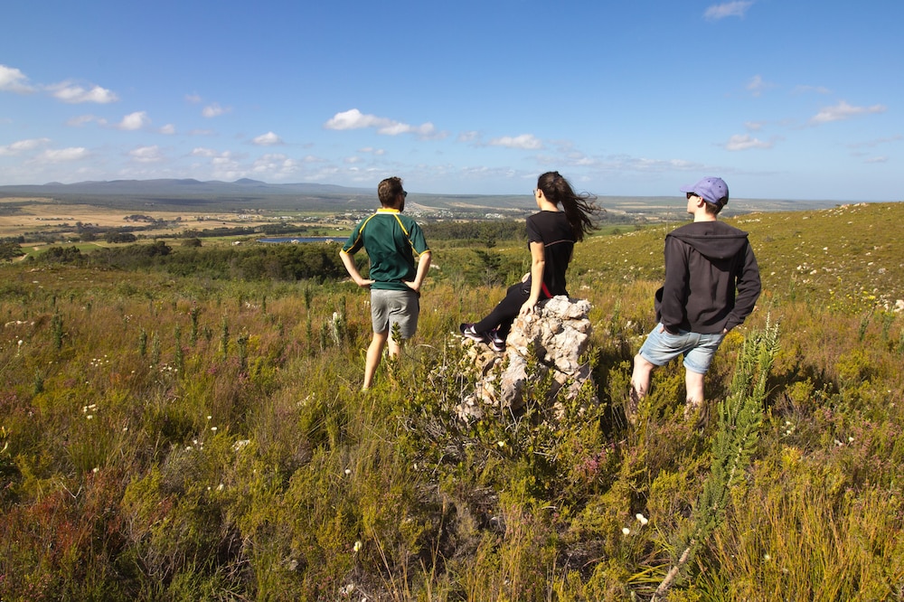 AfriCamps at Stanford Hills Estate- Glamping