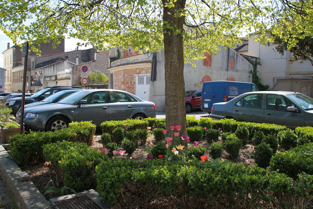 Photo 7