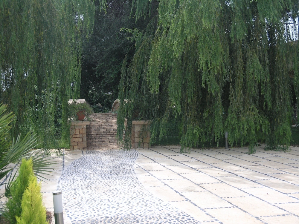 Villa Son Menusset, Piscina privada, WiFi, Sabor a Naturaleza
