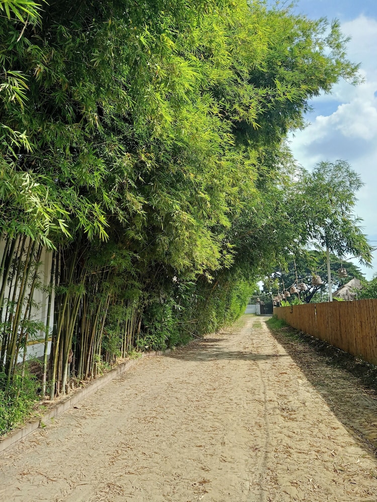 The Forest Hill Cafe & Homestay