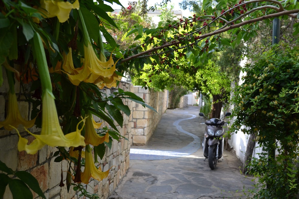 Su Otel - Image 134