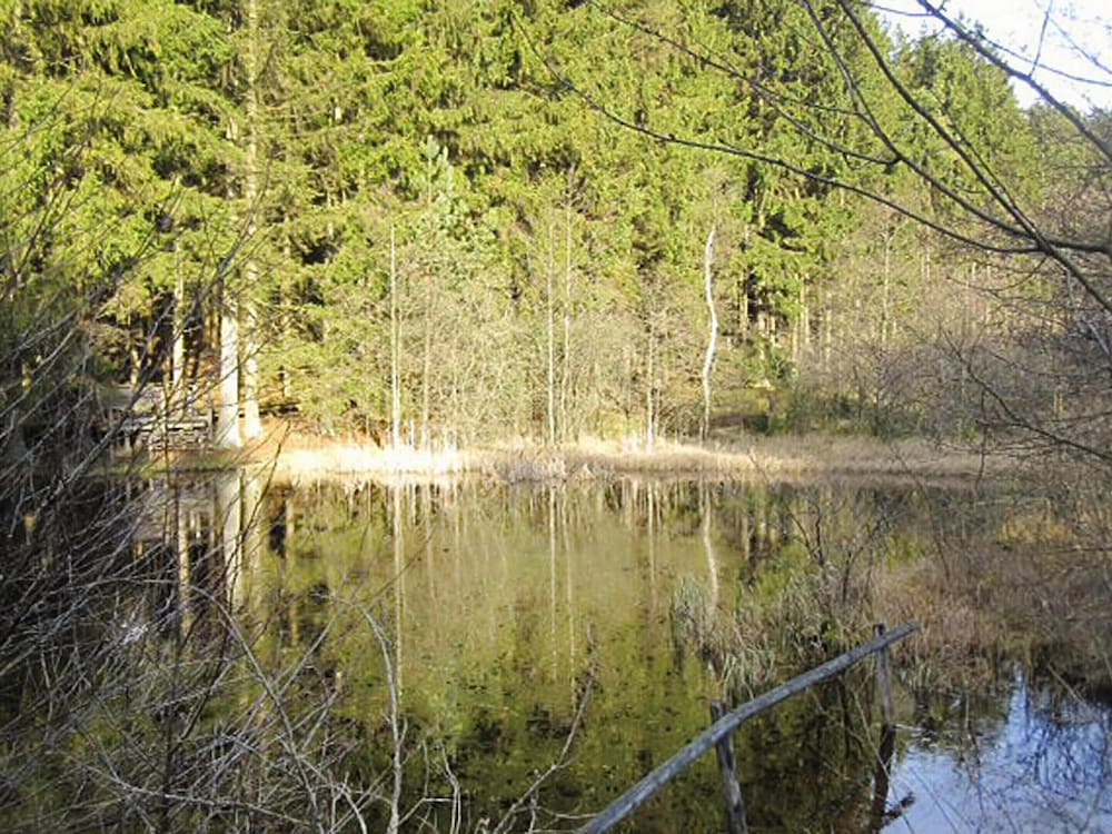 Apartment in Eifel Near Hiking Trails