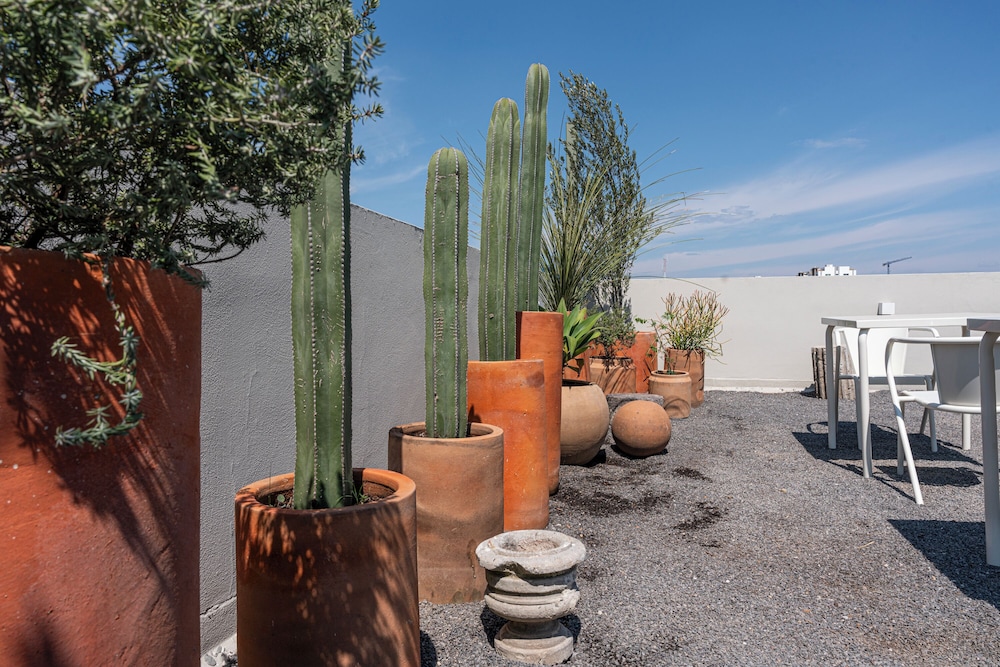 Casa Teresa by Barrio México