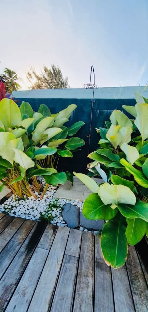 Le Ficus Iti - Belle Villa Bord de mer et Piscine