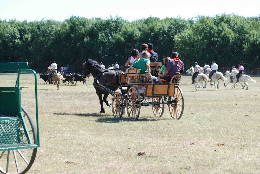Le Mazet De Jean en Camargue