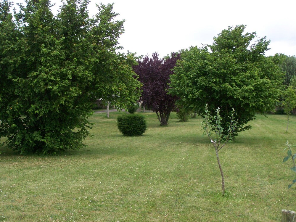 Photo 24