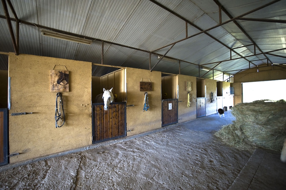 Toscana Ranch photo 5