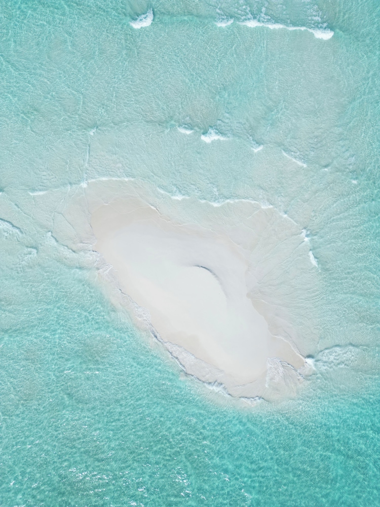 Blue Coral Vashafaru