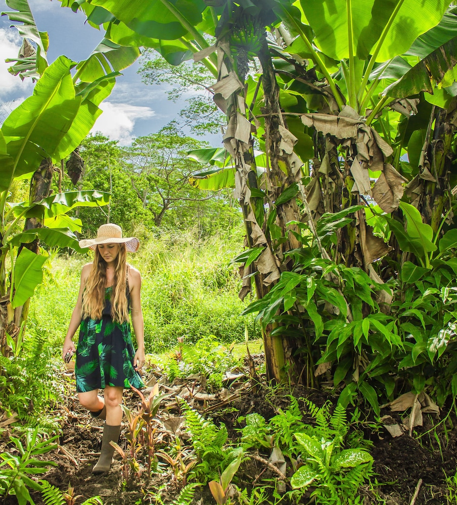 Hawaiian Sanctuary