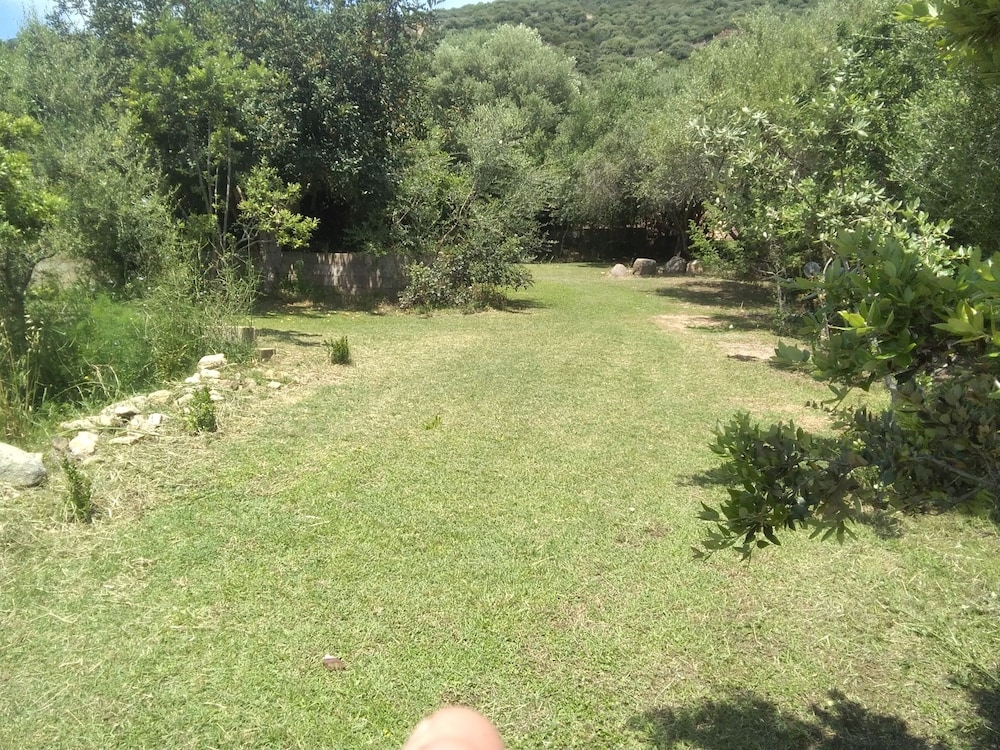Daillu en Olbia — other