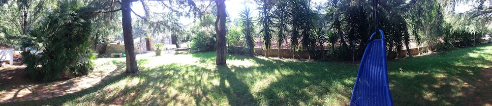 Photo 34